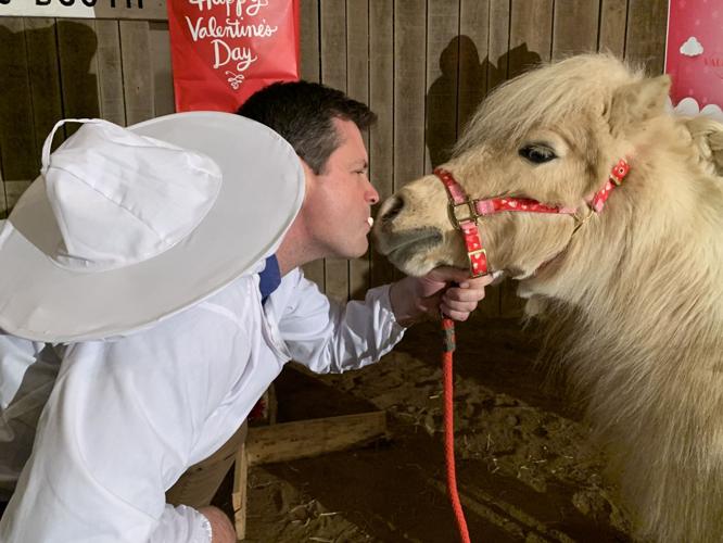 VALENTINE MINIATURE HORSES - KEITH KAISER 2-3-2020  (4).jpeg