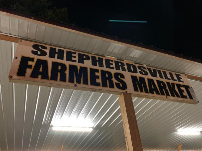 shep 1.jpg
