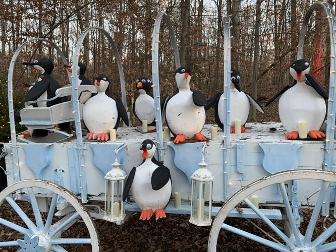 Winter Woods Spectacular (23).JPG