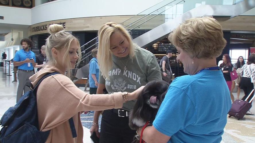 Therapy Dog with women at airport