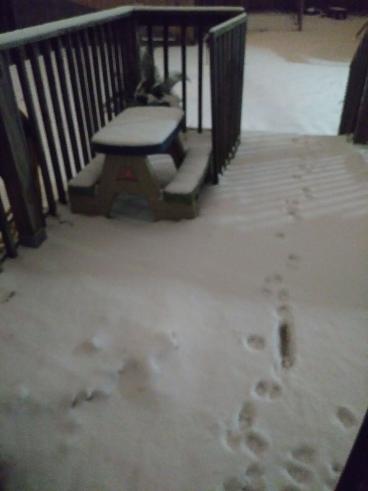 Snow near Churchill Downs.jpg