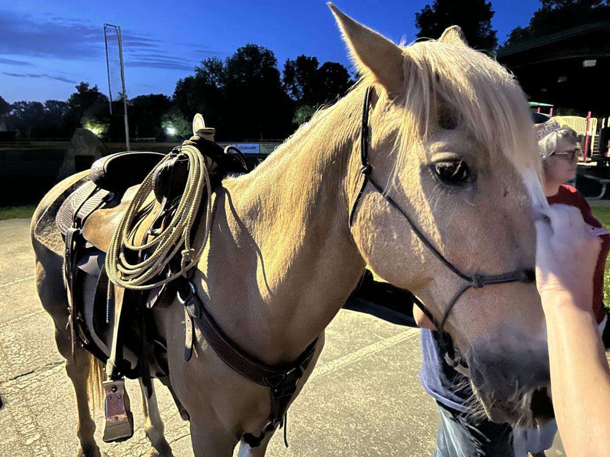 St. John’s Strawberry Festival in Borden Indiana: Why You Should Probably Bring a Cooler
