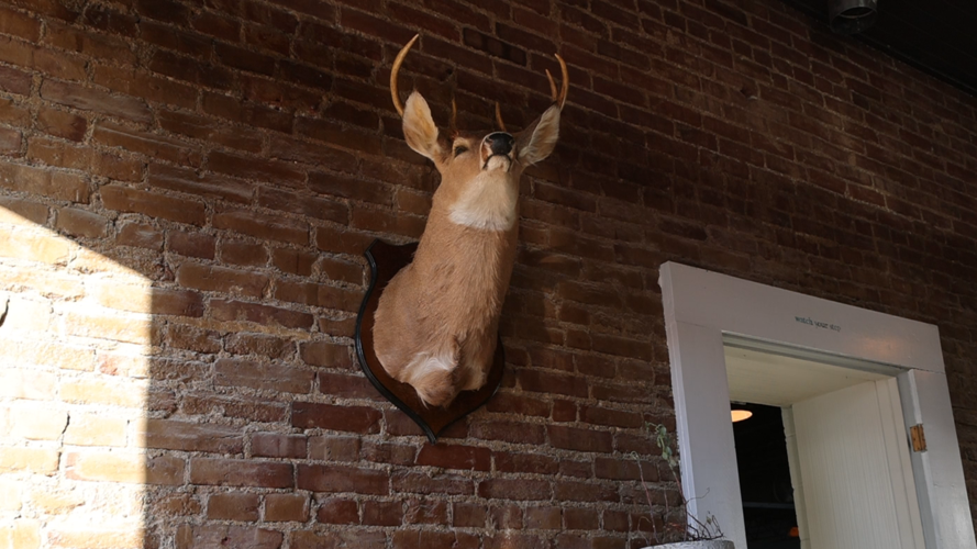 The Keswick deer head.PNG