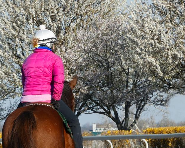 Scenics, 2022 Keeneland Spring Meet