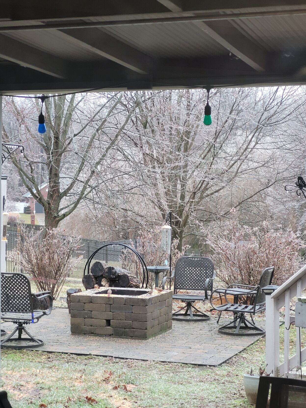 ICE STORM 2-3-2022 - FLOYDS KNOBS INDIANA - MELISSA LANHAM .jpg