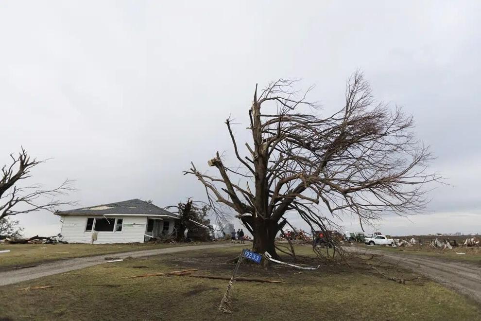 Tree, home damaged during tornado in Martinsburg, Iowa 33123AP.jpg