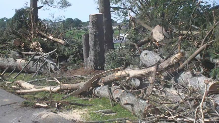 LONDON KY PART 2_frame_254240.jpeg