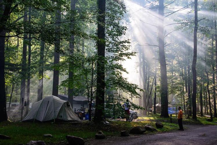 SMOKY MOUNTAINS - FIREFLY VIEWING - IMAGE COURTESY US GOV - FILE 1 (2).jpg