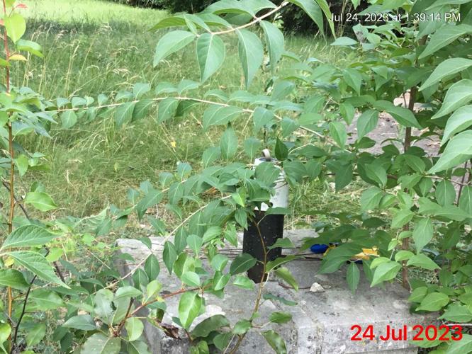 Applegate Lane House