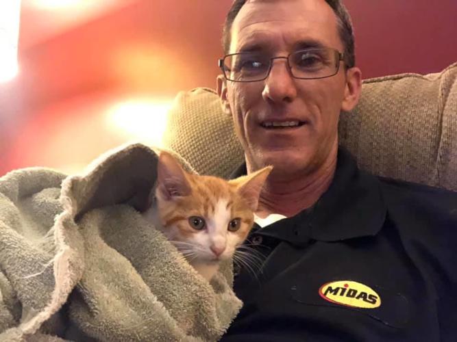CAT RESCUED FROM CAR - FRANKFORT KY - COURTESY MIDAS OF FRANKFORT 1 (1).jpg