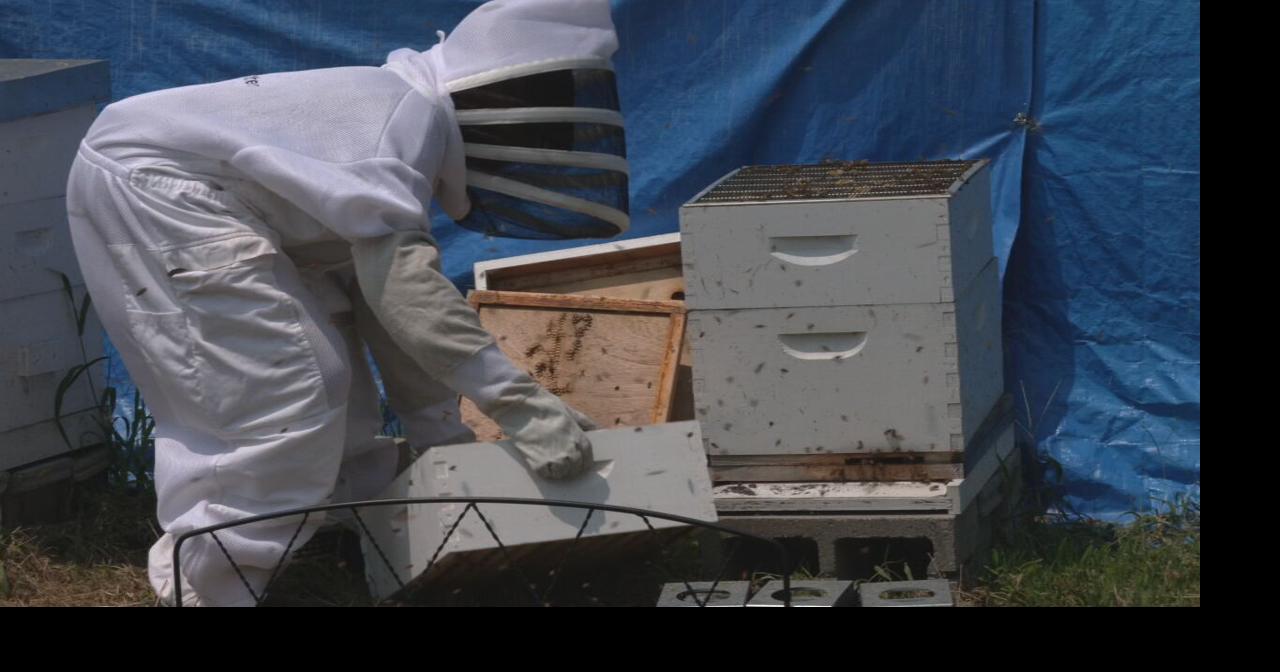 Louisville teen hoping to cultivate new customers for beekeeping
