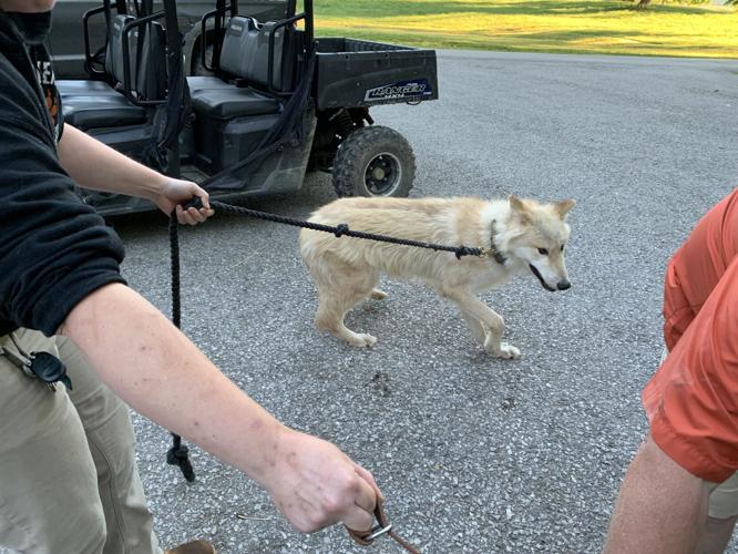 Wilstem Wildlife Park (38).JPG