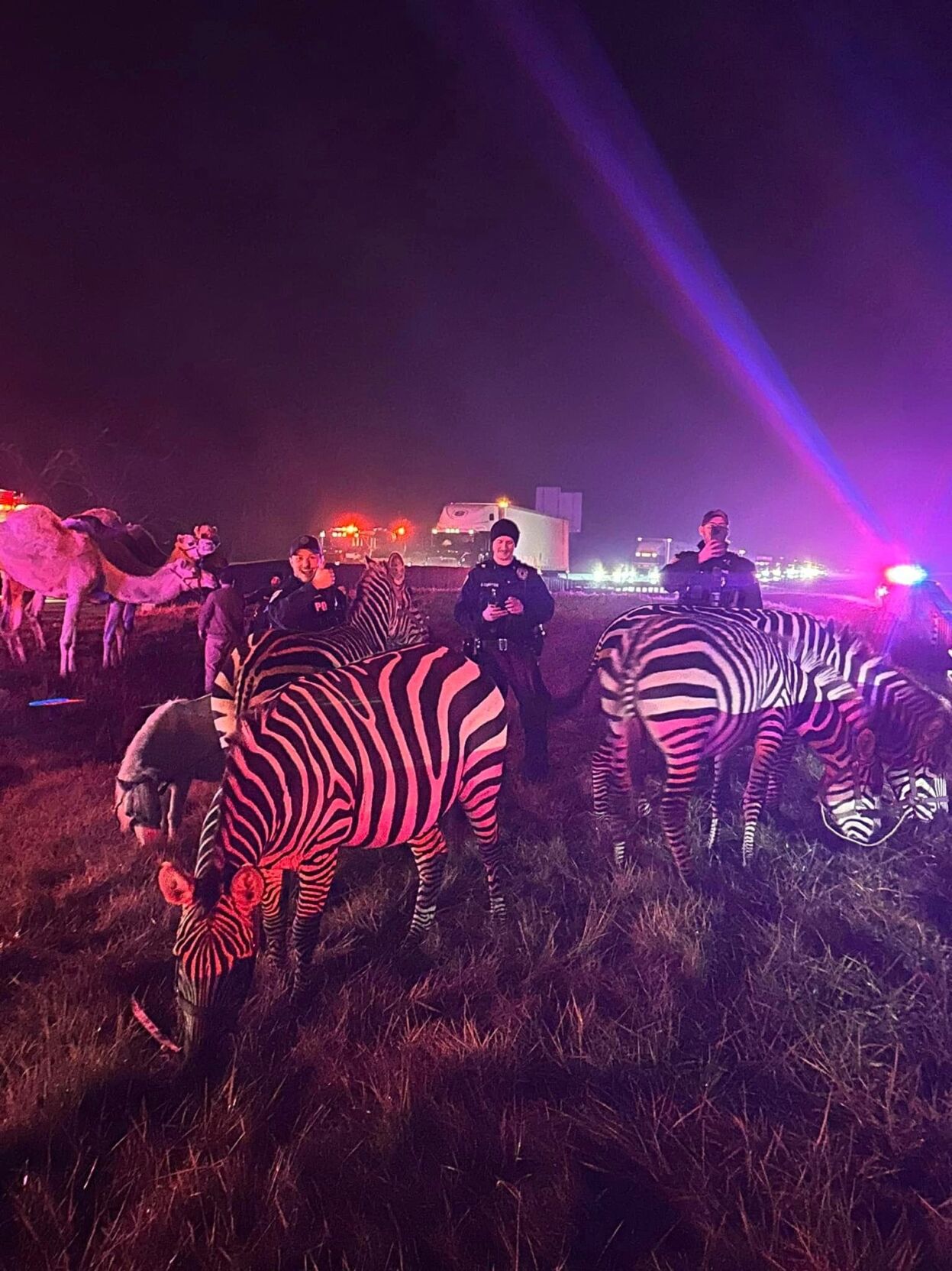 Grant County animals on interstate 5.jpg