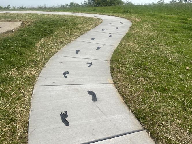 ELDERS FOOTPRINTS - UNKNOWN PROJECT 6-4-2024 (10).jpeg