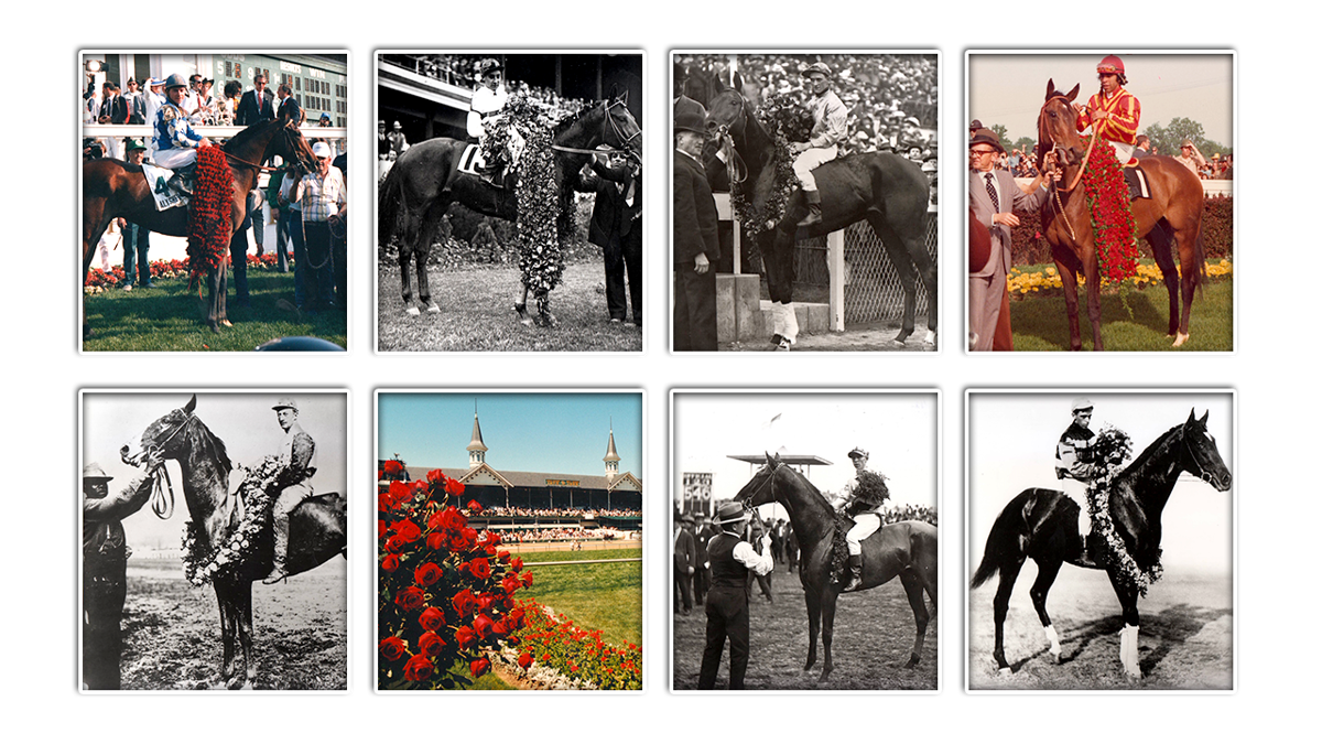 How Did The Kentucky Derby Get Its Nickname The Run For The Roses News Wdrb Com