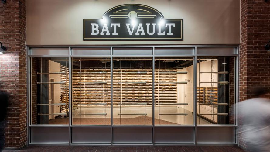 Bat Vault.jpg