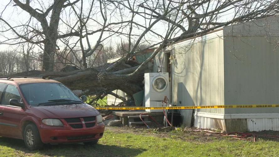JEFFERSON CO 9 YEAR OLD TREE DEATH.jpeg