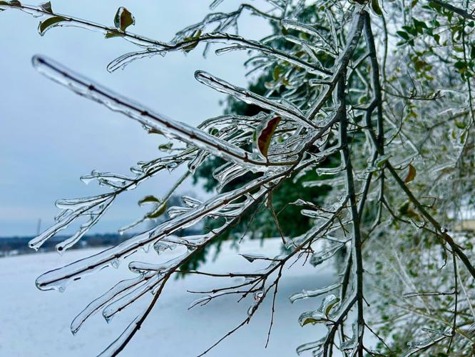 Ice in Grayson County