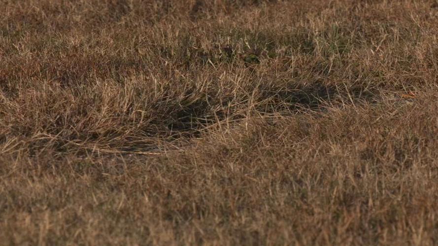 HIGHLAND MEMORY GARDENS ISSUES