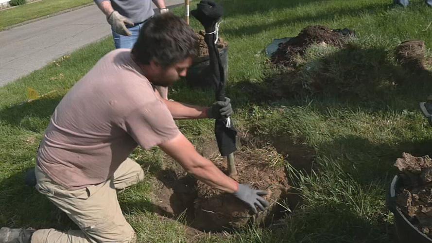 Southend beautification project.jpeg