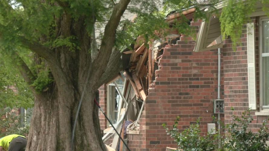 BUSY TREE REMOVAL COMPANIES