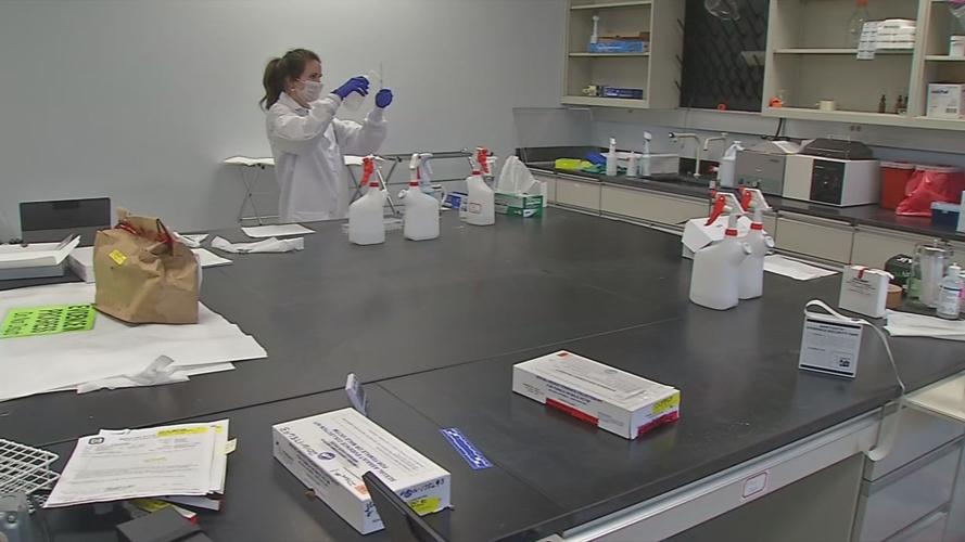 Lab technician performing tests on Sexual Assault Forensic Exam (SAFE) kit (also referred to as rape kits)