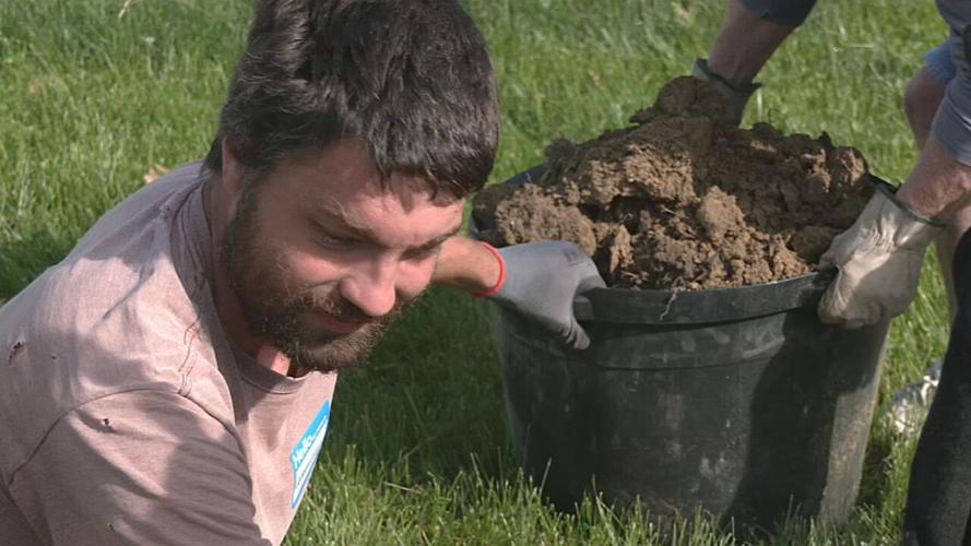 Southend beautification project tree.jpeg