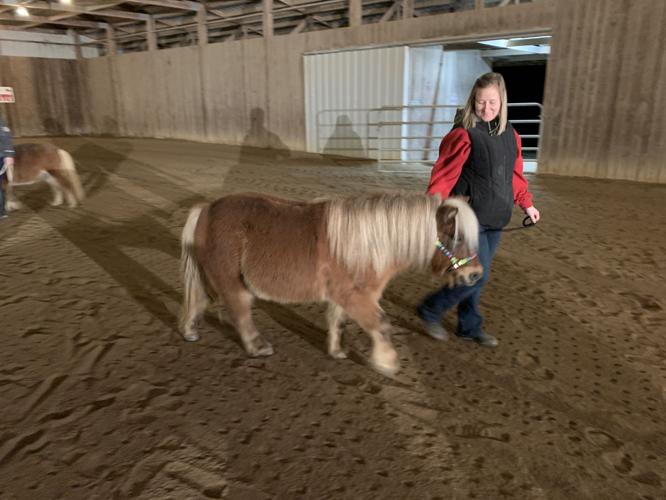 VALENTINE MINIATURE HORSES - KEITH KAISER 2-3-2020  (6).jpeg