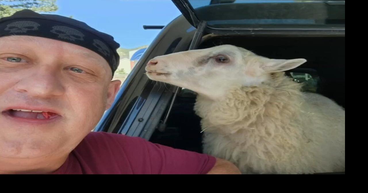 Where has Mike Marshall been? Here's where... | Wdrb-video | wdrb.com