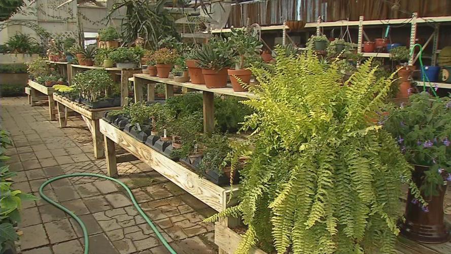 Country Corner Greenhouse 8.jpg