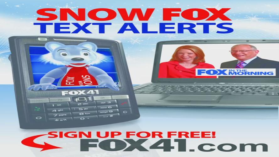 snow fox text alert 2010