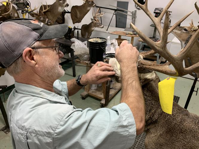 Brad Sturgeon at Sturgeon's Taxidermy