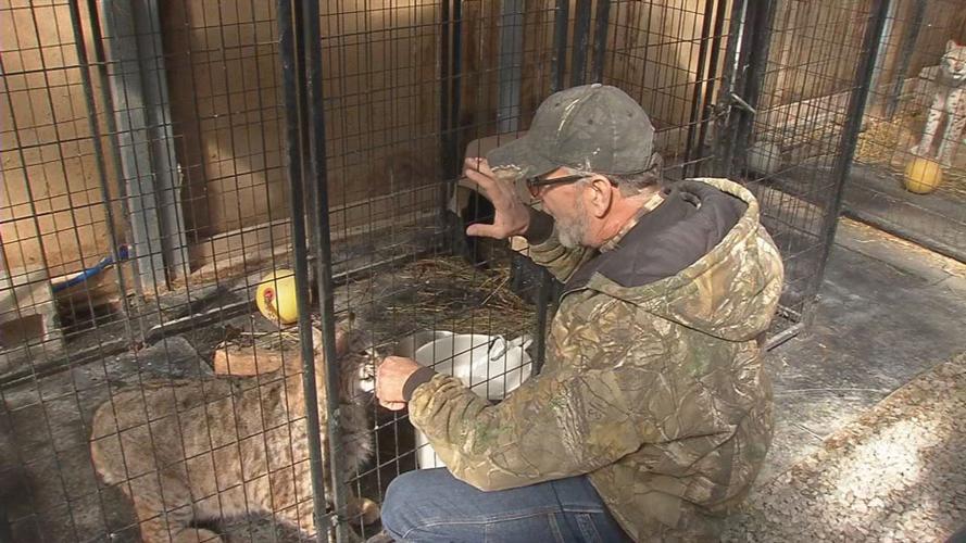 Southern Indiana zoo owner accused of animal abuse gives WDRB News a rare behind-the-scenes tour