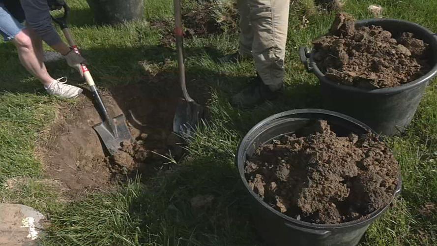 Tree being planted in Louisville.jpeg