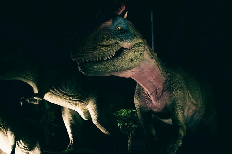 Dinosaur Adventure.jpg