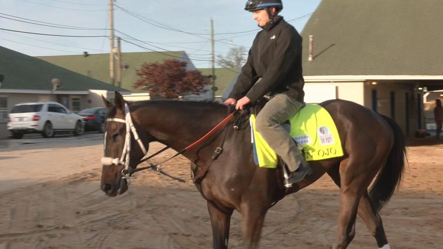 Un Ojio eying roses on derby day