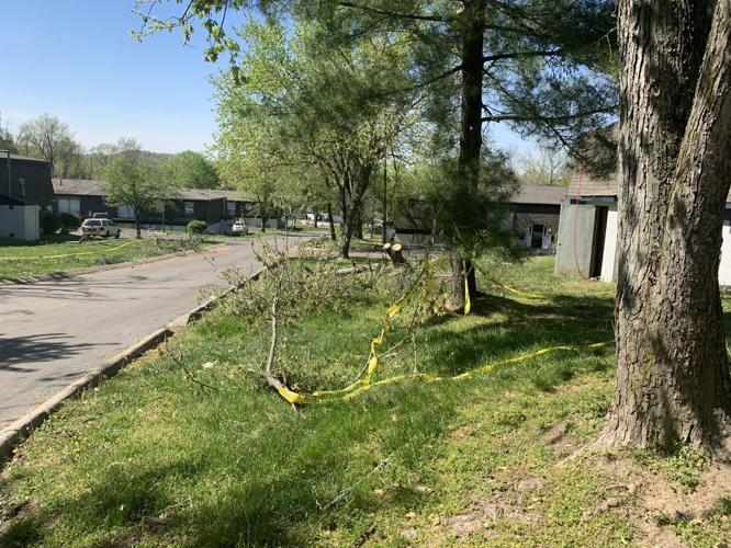 Downed trees outside PRP apartment after April 5 storms