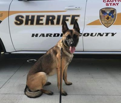 Hardin County K-9 officer Senna to get body armor.jpg