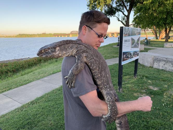 INDIANA REPTILE EXPO - LIZARDS - SNAKES - KEITH KAISER 6-11-2020  (5).jpeg