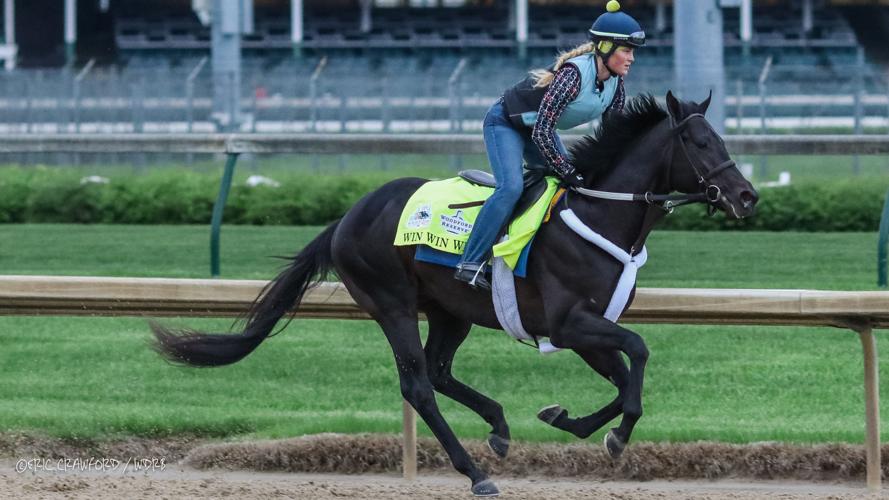 Training - Long Range Toddy