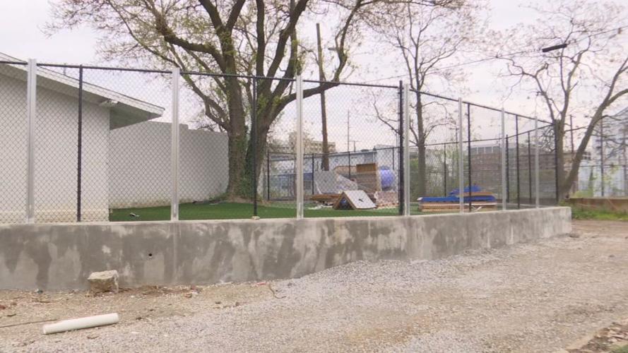 Bark Louisville-Doggy Daycare-East Broadway-2.jpeg