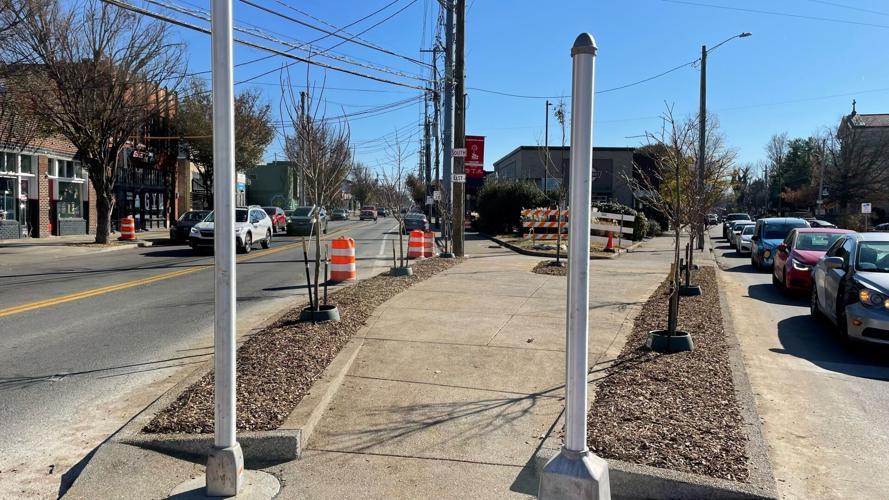 Bardstown Road tree planting 11-22-22.jpg