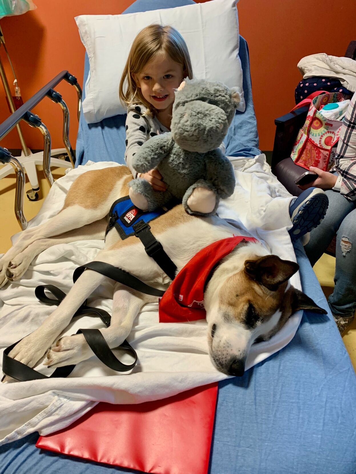 Children receive stuffed animals for Valentine's Day at Norton Healthcare.jpeg
