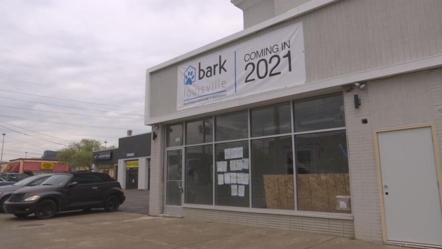 Bark Louisville-Doggy Daycare-East Broadway.jpeg