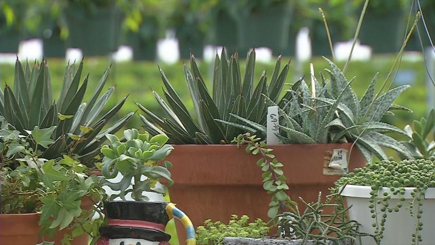 Country Corner Greenhouse 6.jpg