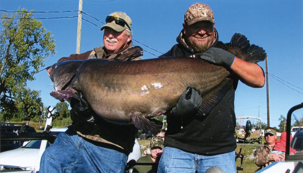Fisherman catches 107-pound blue catfish in the Ohio River