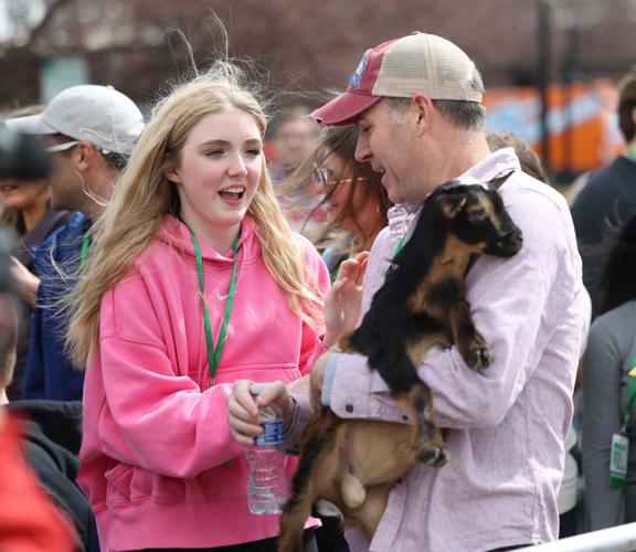 Jude Redfield with goat