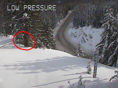 Bigfoot (Washington State Department of Transportation)