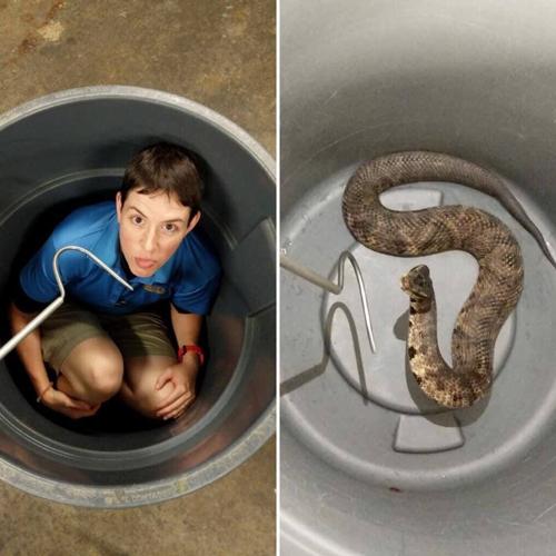 Zookeeper snake.jpg