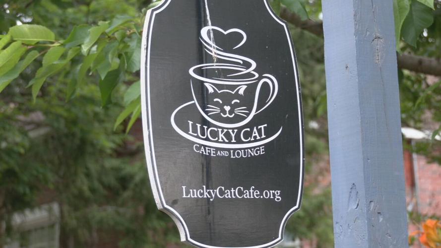 LUCKY CAT CAFE REOPENING